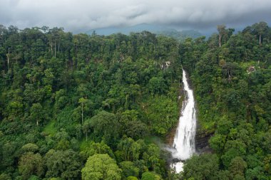 Waterfall among tropical jungle with green plants and trees. Mapalana Falls. Sri Lanka. clipart