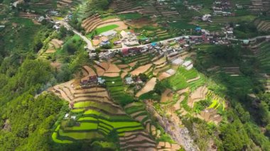 Dağ yamaçlarındaki pirinç teraslarının ve tarım arazilerinin insansız hava aracı. Filipinler, Luzon.