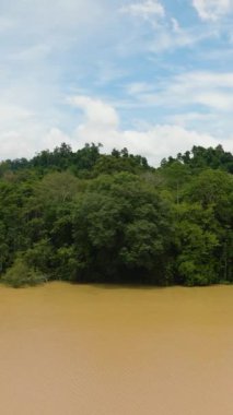 Nehir ve yağmur ormanlarının havadan görünüşü. Orman manzarası. Kinabatangan nehri. Borneo. Malezya.