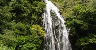 Dağlarda, yeşil ormanların arasında bir şelale. Efrata düşüyor. Sumatra, Endonezya.
