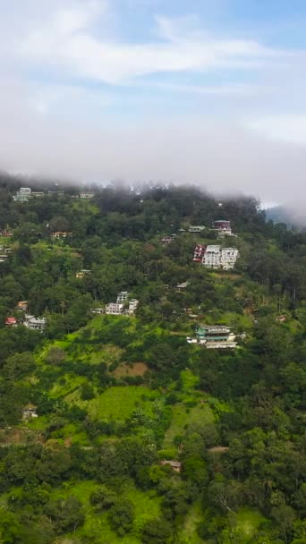 Vista Aerea Ella Montagna Tra Nuvole Piantagioni Sri Lanka — Video Stock