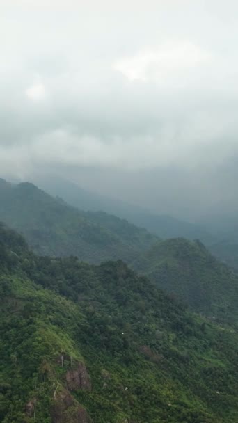 Dron Powietrzny Tropikalnego Krajobrazu Górami Dżunglą Sumatrze Indonezja — Wideo stockowe