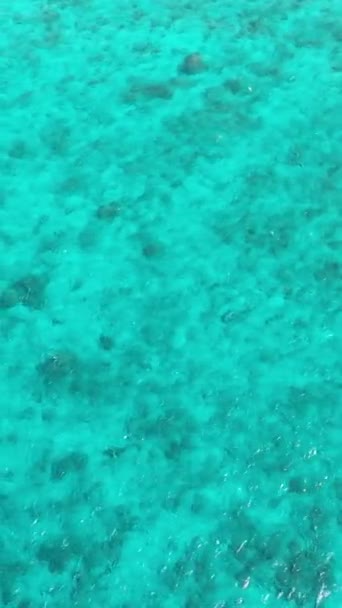 Widok Lotu Ptaka Turkusową Wodą Rafą Koralową Słoneczny Dzień Indonezja — Wideo stockowe