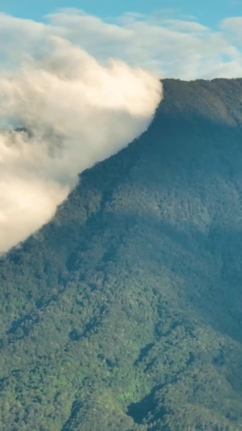 Bergen Met Regenwoud Wolken Sumatra Indonesië — Stockvideo
