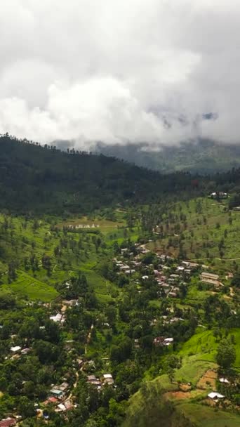Pentes Montagneuses Avec Forêt Tropicale Terres Agricoles Des Agriculteurs Sri — Video