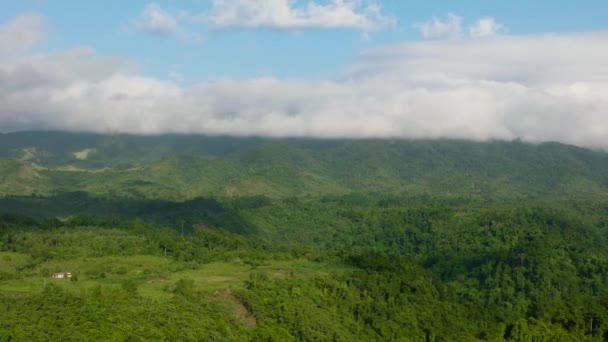 Tropical Green Forest Jungle Slopes Mountains Philippines — Video Stock