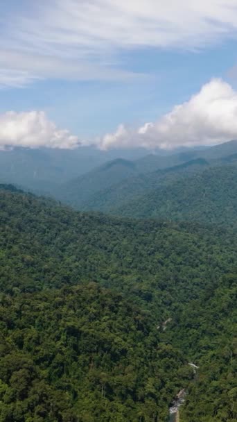 高山覆盖着热带雨林 树木和蓝天 布满了云彩 印度尼西亚苏门答腊 — 图库视频影像