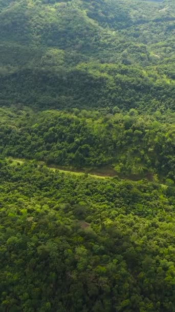 斯里兰卡高山和青山的空中景观 常绿植被的高山斜坡 — 图库视频影像
