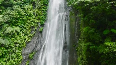 Pulang-Tubig Şelaleleri yeşil ormanda ağır çekimde. Tropik dağ ormanlarında şelale. Zenciler, Filipinler.