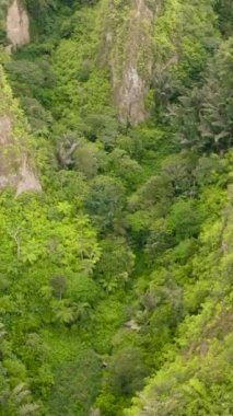 Yağmur ormanları ve ormanları olan dağ kanyonu. Ngarai Sianok. Bukittinggi, Sumatra, Endonezya.