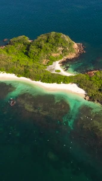 Тропический Остров Голубом Море Коралловым Рифом Пляжем Пиджен Айленд — стоковое видео