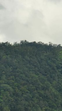 Yukarıdan ormanla kaplı dağ zirveleri. Zenciler, Filipinler