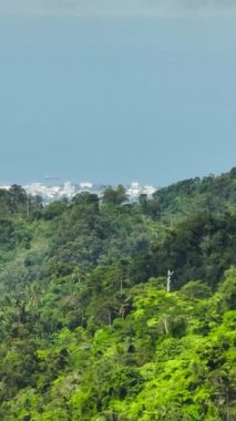 Dağlardan ve ormandan Dumaguete şehrinin manzarası. Zenciler, Filipinler.