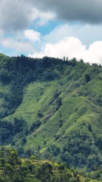 緑の植生とヤシの木で山や丘の斜面の空中ビュー ネグロス フィリピン — ストック動画