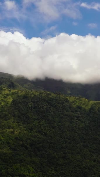 Montagnes Avec Forêt Tropicale Nuages Sri Lanka — Video