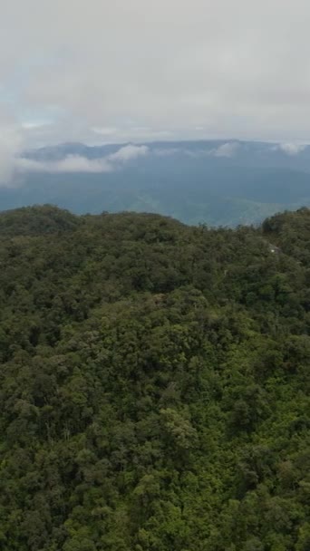 Горные Склоны Покрыты Тропическими Лесами Джунглями Тропический Пейзаж Суматра Индонезия — стоковое видео