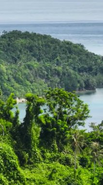 Aerial view of island covered with rainforest and jungle and blue sea. Negros, Philippines.