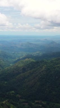 Dağların yamaçlarında tropik yeşil orman ve orman. Ella Rock, Sri Lanka. Dikey video.