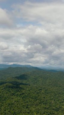Tropikal dağ sıralarının ve yağmur ormanlarıyla kaplı dağ yamaçlarının havadan görünüşü. Borneo, Malezya.