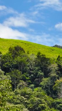 Yağmur ormanları ve ormanlarla kaplı dağ yamaçlarının havadan görünüşü. Sumatra, Endonezya.