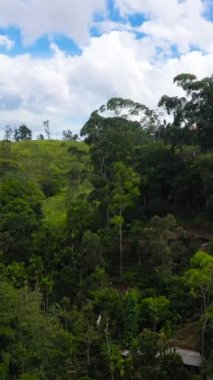 Dağlar ve çay evi arasında şehrin havadan görünüşü. Ella, Sri Lanka. Dikey video.