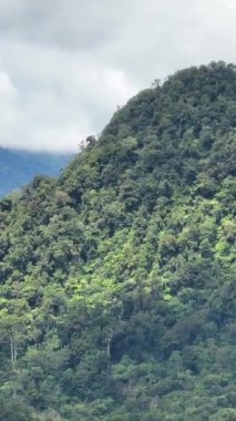 Dağlar ve yeşil tepeler. Dağ yamaçlarında bitkiler. Zenciler, Filipinler.
