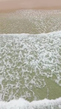 Tropiklerdeki deniz sörfü ve kumlu kumsal manzarası. Borneo, Malezya.