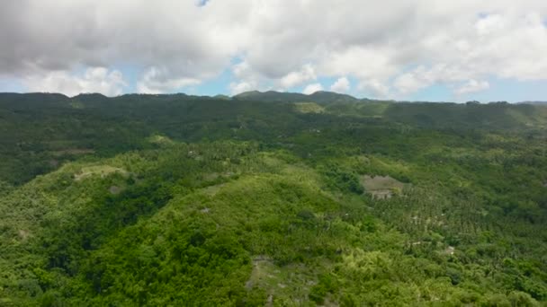 Вид Повітря Тропічний Гірський Ландшафт Пальмами Лісом Острів Себу Філіппіни — стокове відео