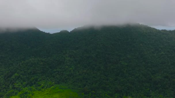Sziget Légi Drónját Trópusi Erdő Dzsungel Borítja Balabac Palawan Fülöp — Stock videók