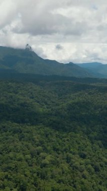 Dağları ve ormanı olan tropik bir yer. Borneo, Malezya.
