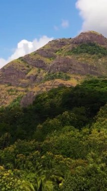 Dağlar yağmur ormanlarıyla, ağaçlar ve bulutlarla kaplı mavi gökyüzü. Sri Lanka. Dikey video.
