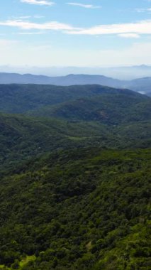 Dağlık bölgede yağmur ormanı ve ormanlı dağların en üst manzarası. Riverston, Sri Lanka. Dikey video.