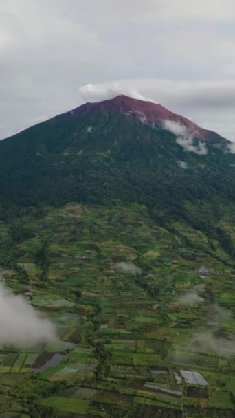 Tierras Agrícolas Plantaciones Junto Monte Kerinci Sumatra Indonesia — Vídeo de stock