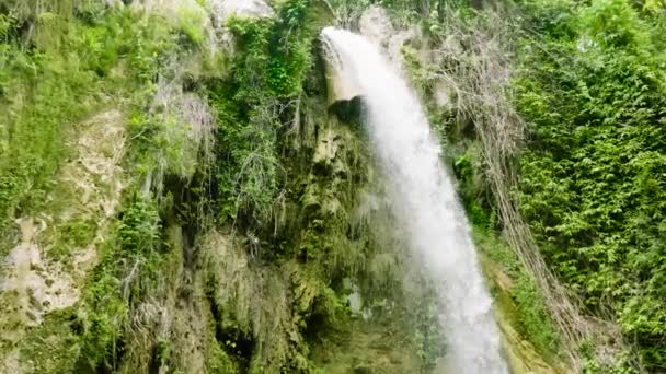 Cascada Entre Selva Tropical Con Plantas Árboles Verdes Cataratas Inambakan — Vídeo de stock