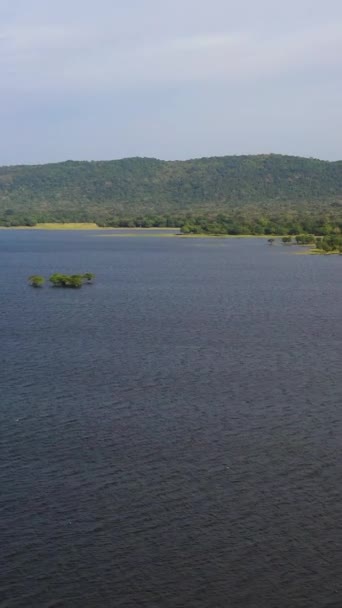 Озеро Тропические Леса Вдоль Берега Танк Kantale Шри Ланка Вертикальное — стоковое видео