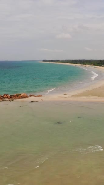 Plajă Frumoasă Palmieri Vedere Apă Turcoaz Sus Sri Lanka Conceptul — Videoclip de stoc