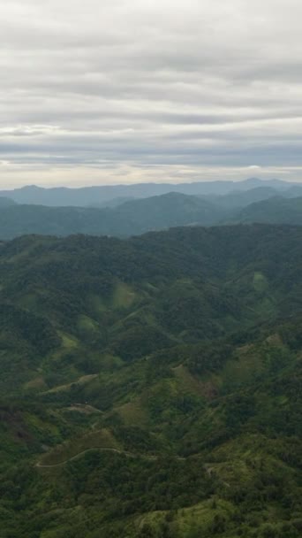 Dron Aéreo Montañas Colinas Con Bosque Verde Árboles Los Trópicos — Vídeo de stock