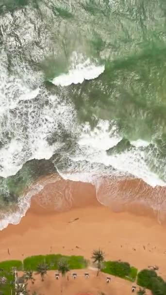 Bella Spiaggia Sabbiosa Mare Surf Con Onde Hikkaduwa Sri Lanka — Video Stock