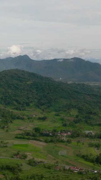 Вид Воздуха Сельхозугодия Плантациями Горы Сельскохозяйственный Пейзаж Букиттингги Суматра Индонезия — стоковое видео