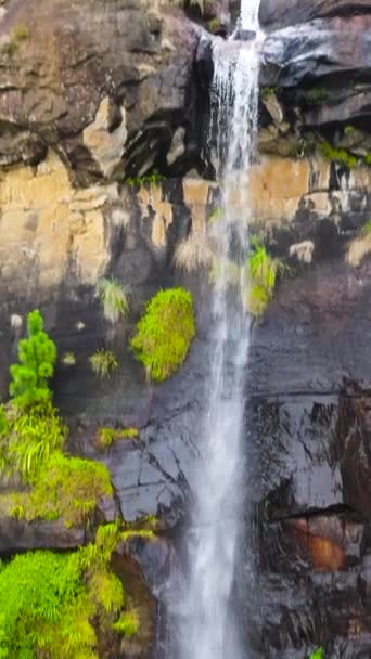 Bambarakanda Falls Wasserfall Einer Gebirgsschlucht Tropischen Dschungel Wasserfall Tropischen Wald — Stockvideo
