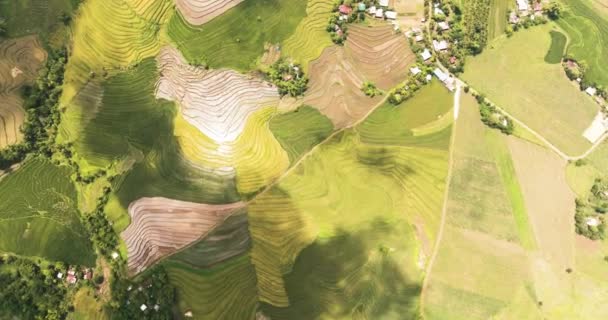 Vue Aérienne Des Terrasses Riz Des Terres Agricoles Aux Philippines — Video