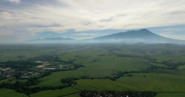 Top view of sugarcane plantations against the backdrop of mountains during sunrise. Negros, Philippines