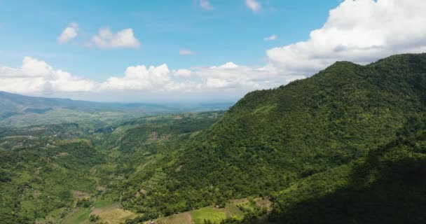 Εναέρια Drone Των Βουνών Πλαγιές Τροπικό Δάσος Και Μια Κοιλάδα — Αρχείο Βίντεο