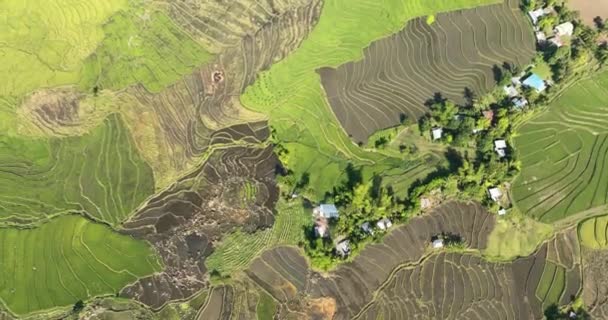 稻田和农田中农民住房的空中无人驾驶飞机 Negros 菲律宾 — 图库视频影像