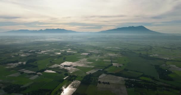 日出期间农田和稻田的空中景观 Negros 菲律宾 — 图库视频影像
