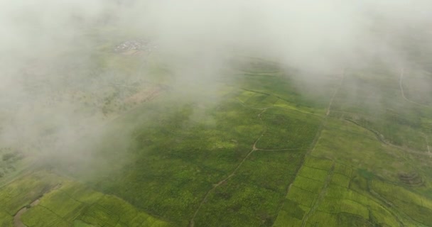 Perkebunan Teh Lereng Bukit Dilihat Dari Atas Lanskap Teh Estate — Stok Video