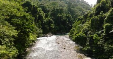 Yağmur ormanlarındaki nehrin en üst manzarası. Sumatra 'da orman. Bukit Lawang. Endonezya.