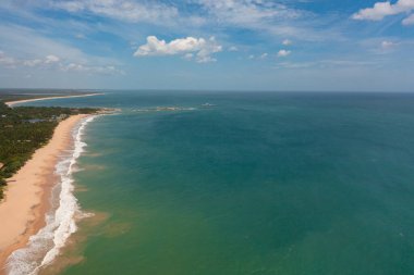 Palmiye ağaçları olan tropik bir sahil. Sri Lanka. Yaz ve seyahat tatil konsepti.