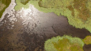 Güneşin havadan görünüşü gölün su yüzeyine su bitkisi ile yansıtılır. Sri Lanka.