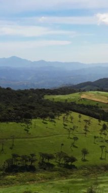 Kırsaldaki tepeler arasında yeşil çayırlar ve otlaklar. Ambewela, Nuwara Eliya, Sri Lanka.
